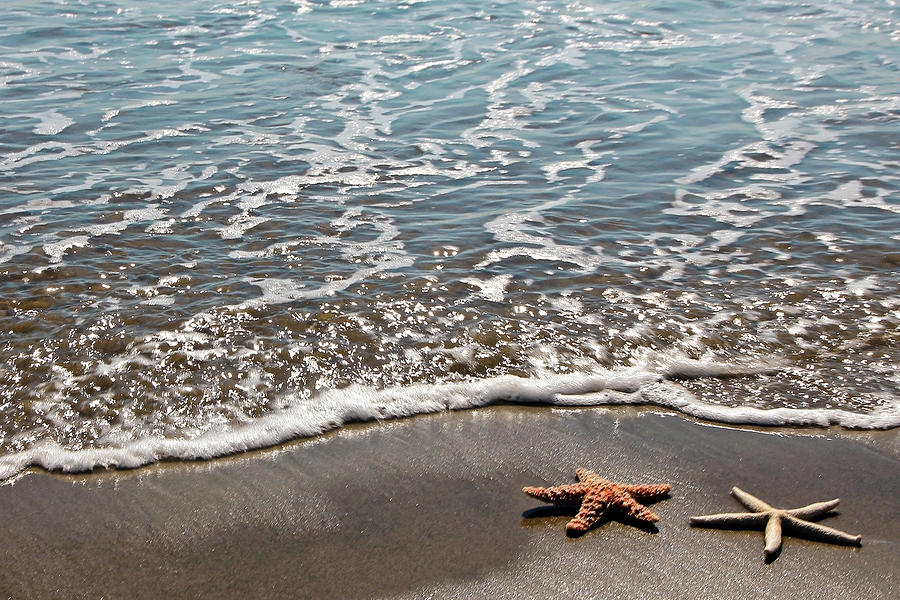 Starfish Catching The Waves Photograph by Athena Mckinzie