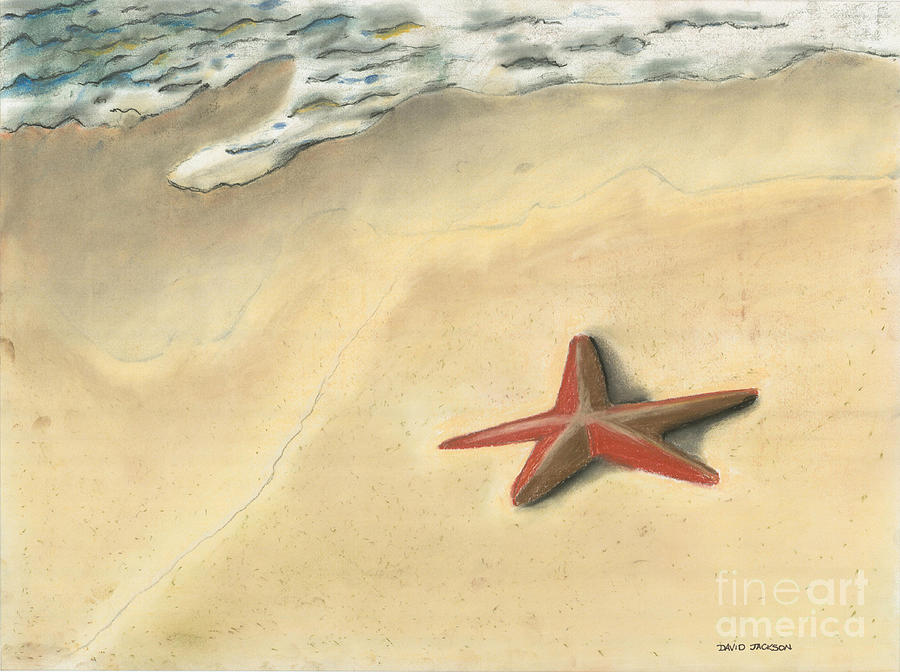 Starfish Pastel by David Jackson