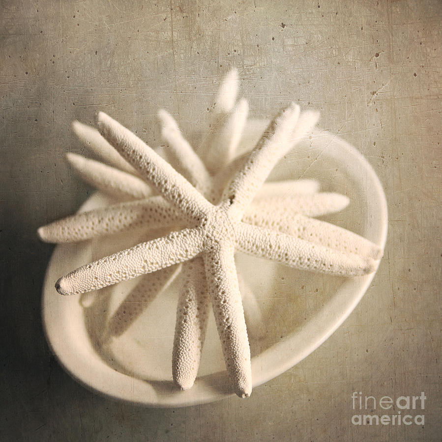 Starfish In A Bowl Photograph by Sylvia Cook
