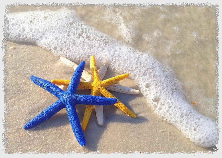 Starfish in the Surf Photograph by Elizabeth Budd