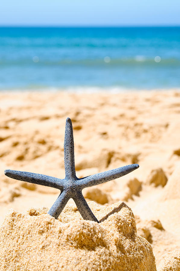 Summer Photograph - Starfish On Algarve Beach Portugal by Amanda Elwell