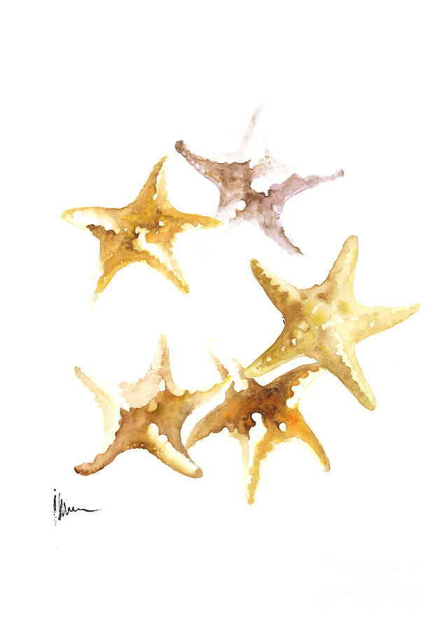 Starfish Painting Watercolor Art Print Painting By Joanna Szmerdt 