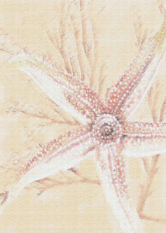 Starfish- Pink And Sand Digital Art by Jane Schnetlage