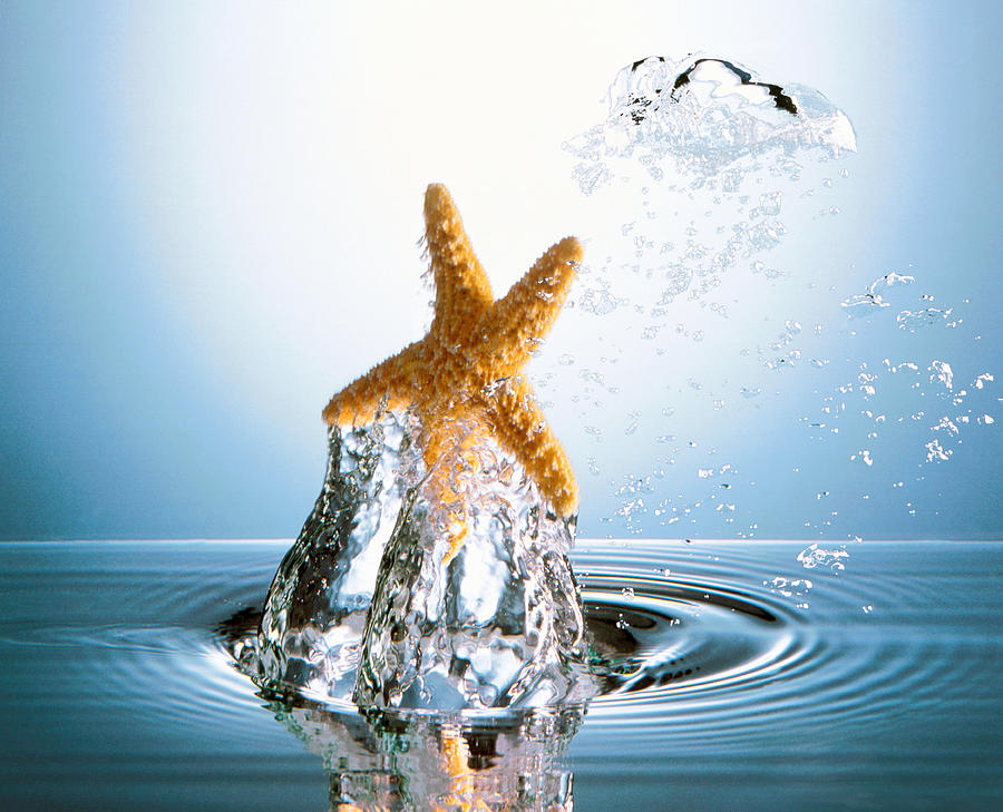 Color Image Photograph - Starfish Rising On Water Bubble by Panoramic Images