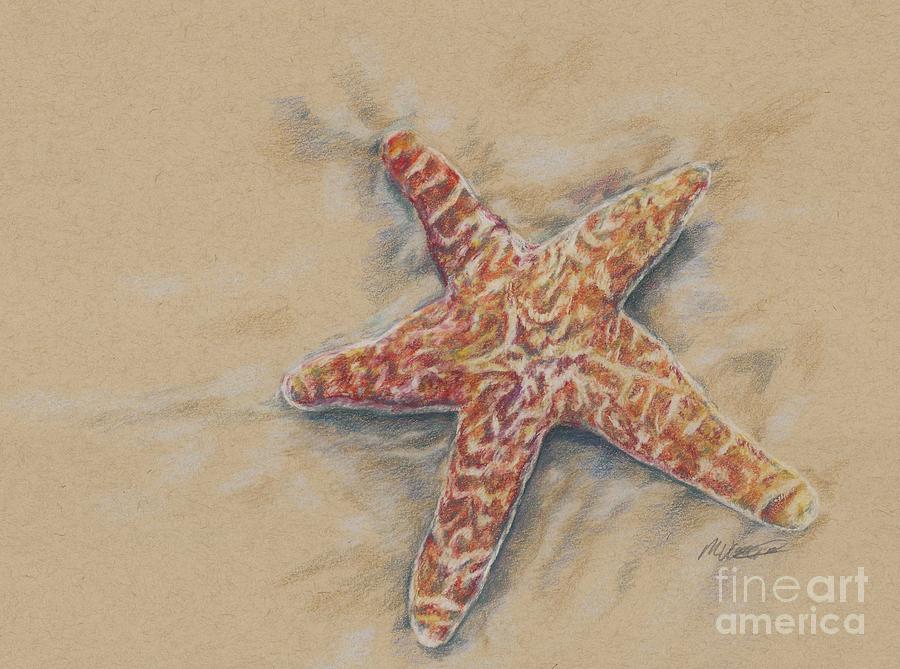 Starfish study Drawing by Meagan  Visser
