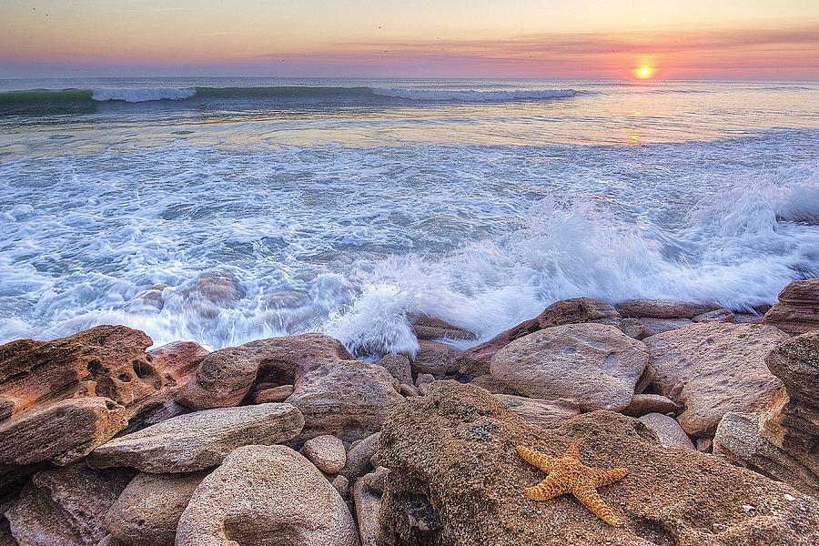 Starfish Sunrise on the Rocks Photograph by Danny Mongosa