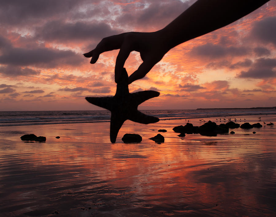 Sammi Starfish photo.