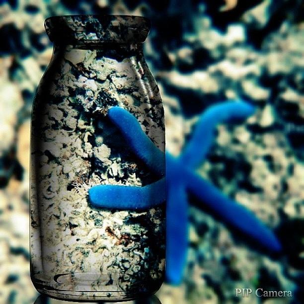 Bottle Photograph - #starfish #underwater #diving by Fajar Triwahyudi