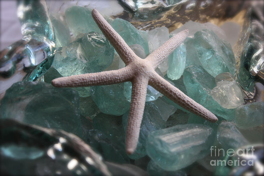 Nature Photograph - Starfish with Sea Glass by Alice Terrill
