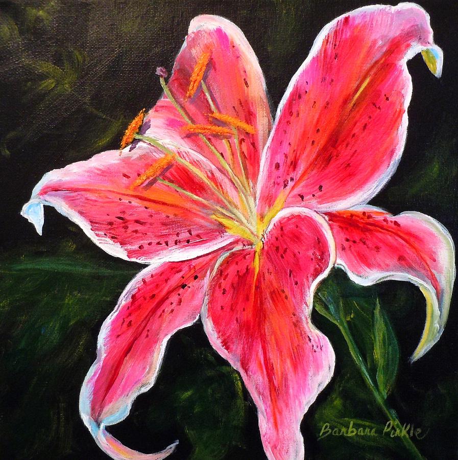 Lily Painting - Stargazer II by Barbara Pirkle