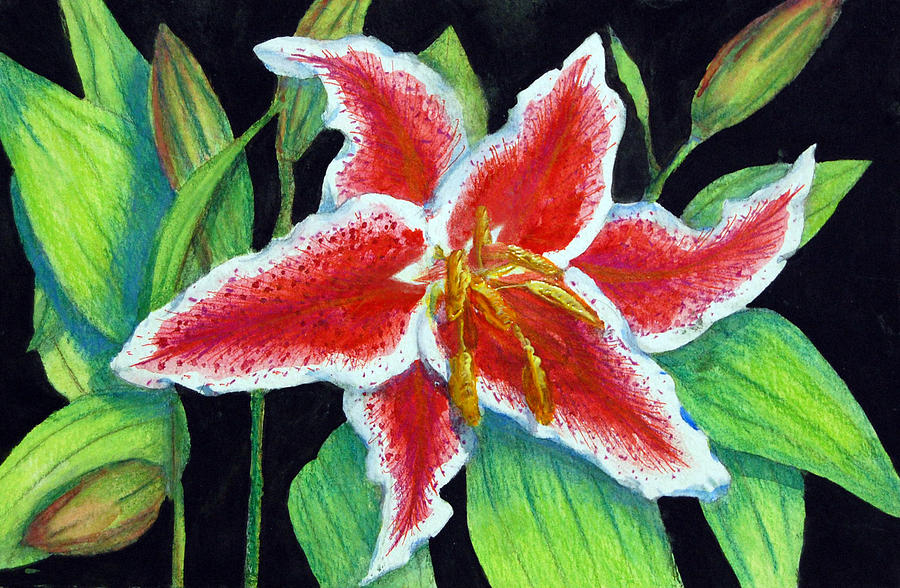 Stargazer Lily Painting by Barbara J Blaisdell