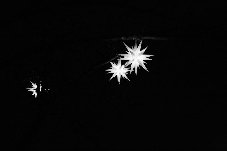 Starlight Part II Photograph by Barbara Bardzik