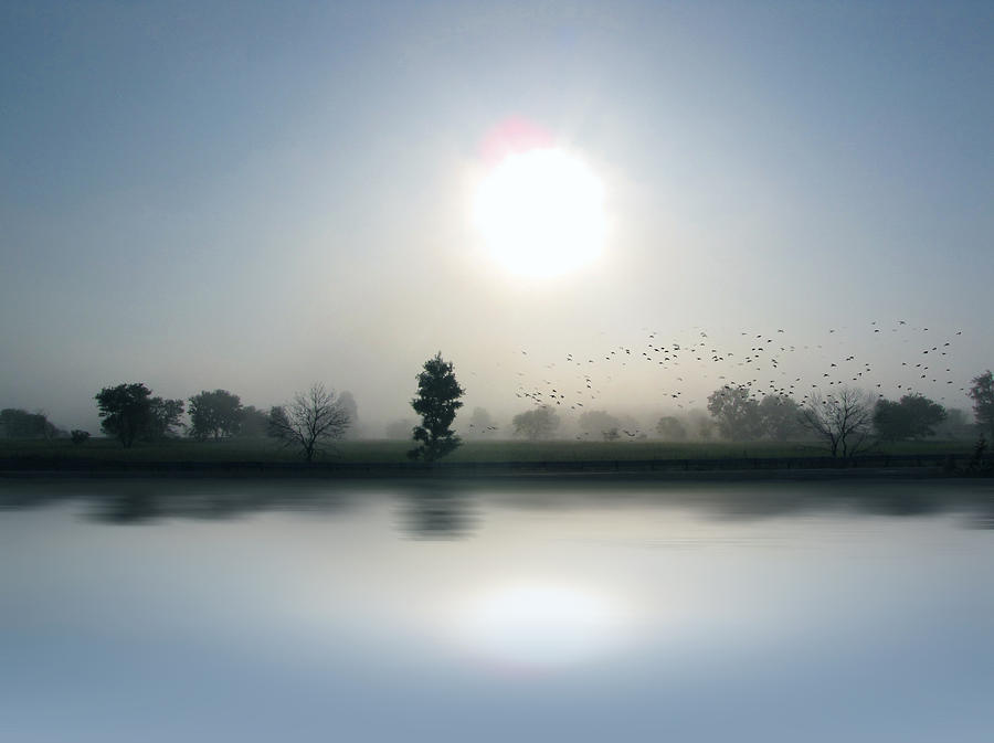 Sunset Photograph - Starlings Misty Morning  by Cedric Hampton