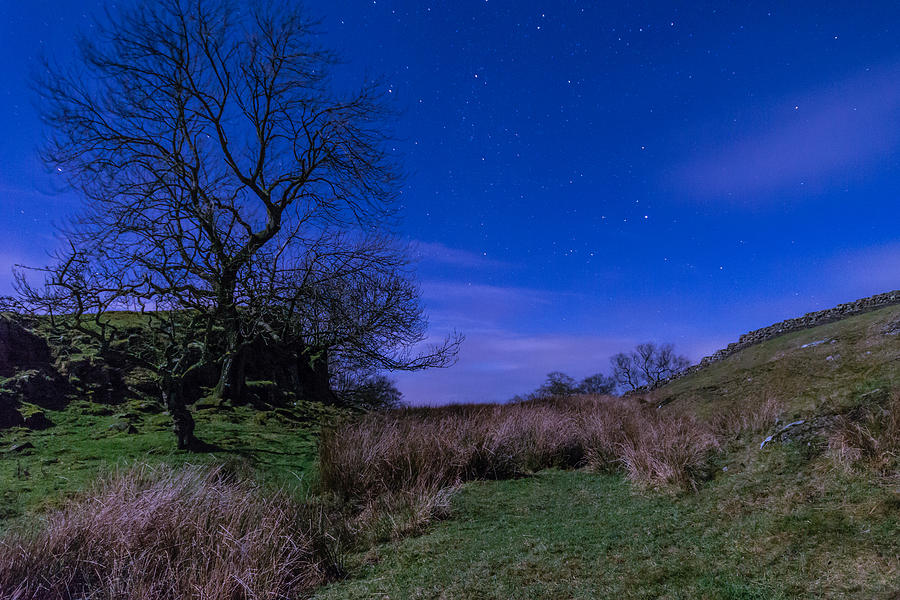 Nature Photograph - Starry Night above Hadrians Wall by David Head