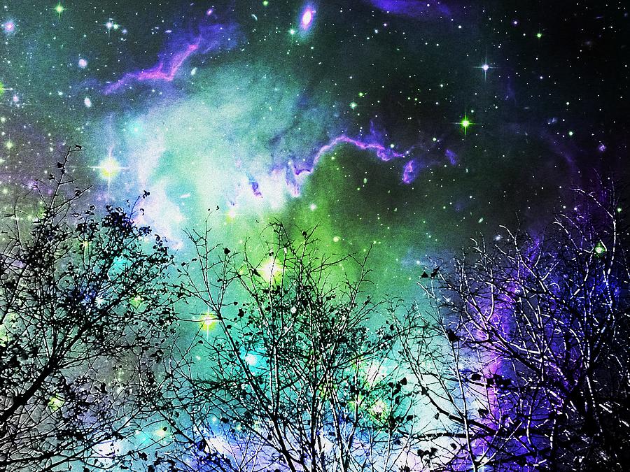 Starry Night Digital Art by Anastasiya Malakhova