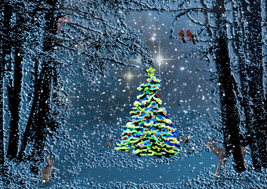 Starry Night Forest Christmas Photograph
