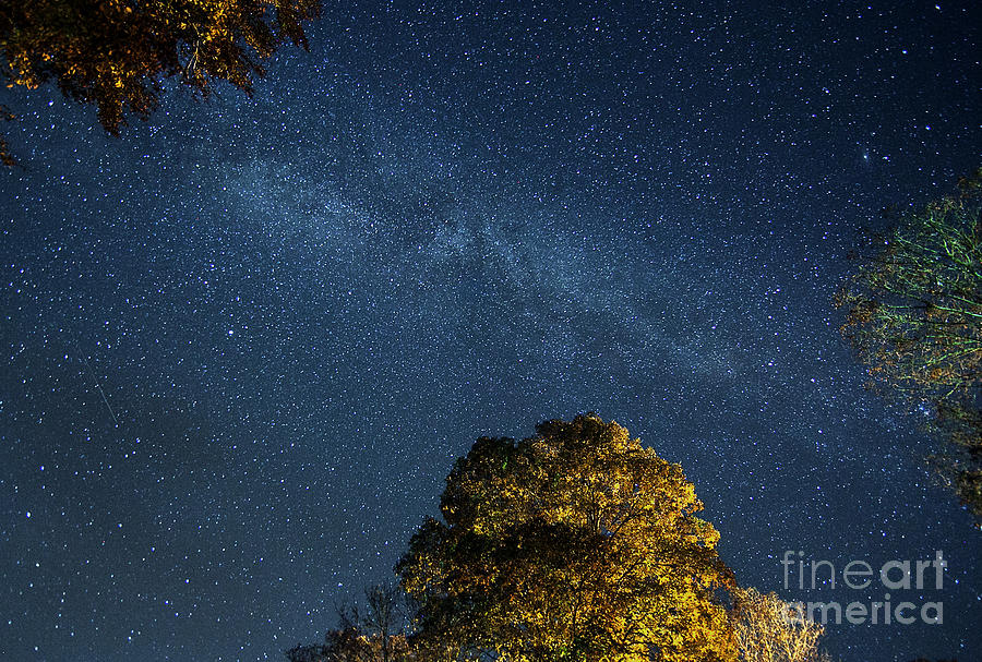 Starry Skies Photograph by Martin Konopacki