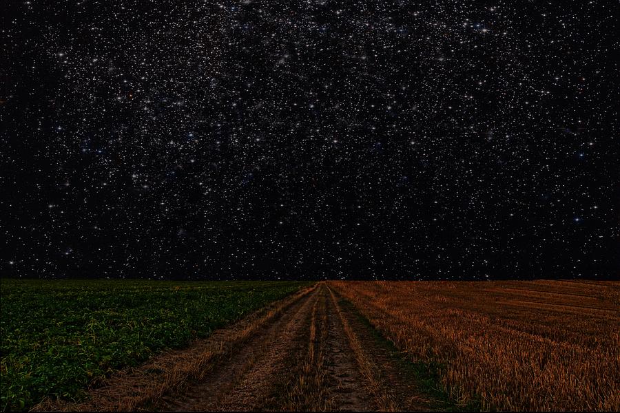 Starry Starry Night Photograph by David Dehner