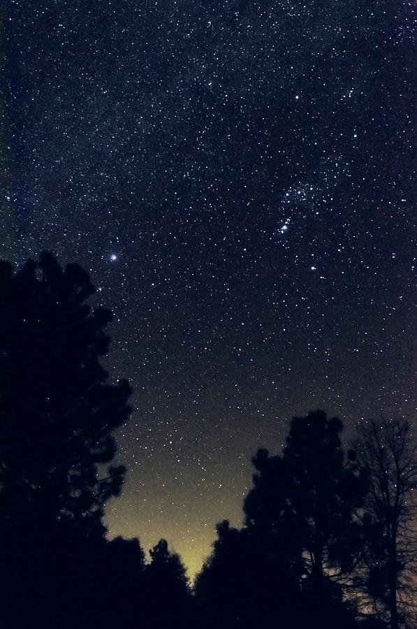 Starry Starry Night Photograph by Greg Amptman | Fine Art America