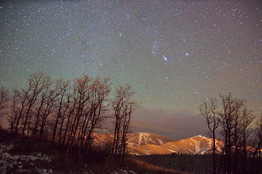 Stars Above Photograph by Matt Helm