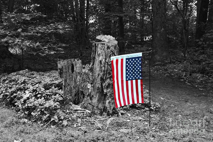 Stars and Stripes With Selective Color Photograph by James Brunker