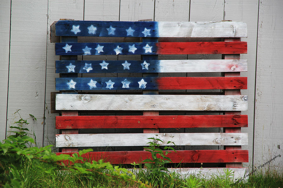 Stars and Stripes Photograph by Becca Wilcox