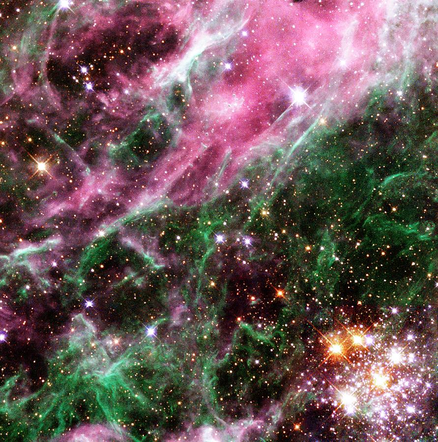 Stars In The Tarantula Nebula Photograph by Nasaesastscihubble Heritage Team