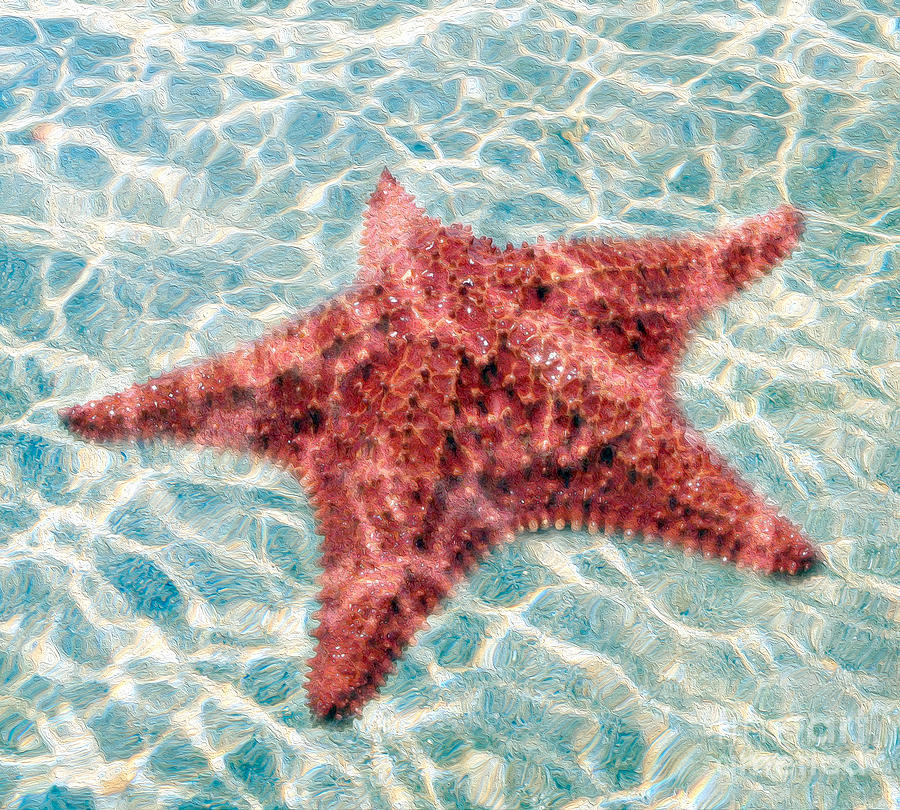 Fish Mixed Media - Stars in the Water by Jon Neidert