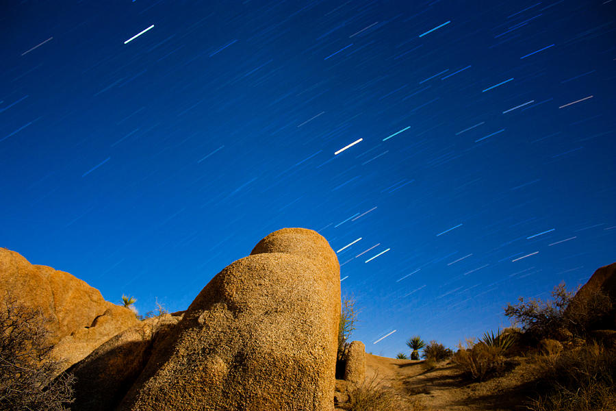 Joshua Tree National Park Photograph - Stars trails on winter solstice by Kunal Mehra