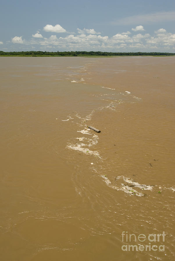 Start Of Amazon River Photograph by William H. Mullins