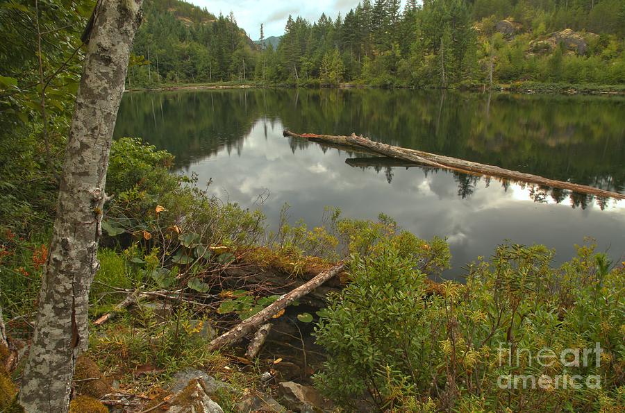 Starvation Lake - British Columbia Photograph by Adam Jewell
