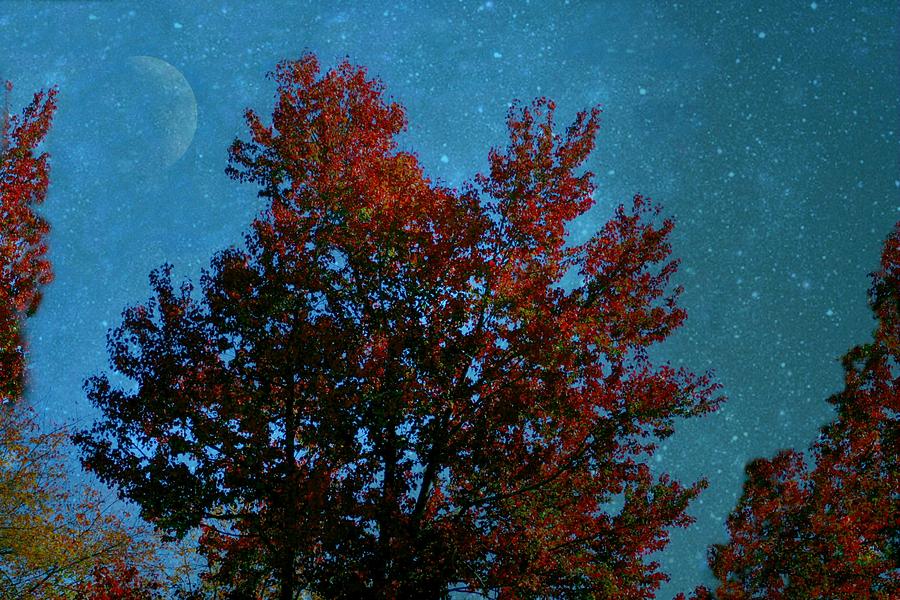 Stary Autumn Night Photograph by Barbara S Nickerson