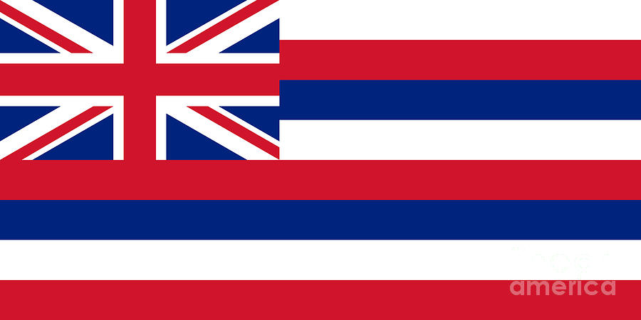 Hawaiian flag of Hawaii Digital Art by Sterling Gold