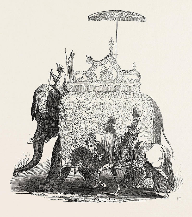 State Howdah, And Elephant Drawing by English School - Fine Art America