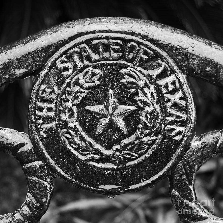 Black And White Photograph - State of Texas Seal and Lone Star on Iron Fence after Rain Square Format Black and White by Shawn OBrien