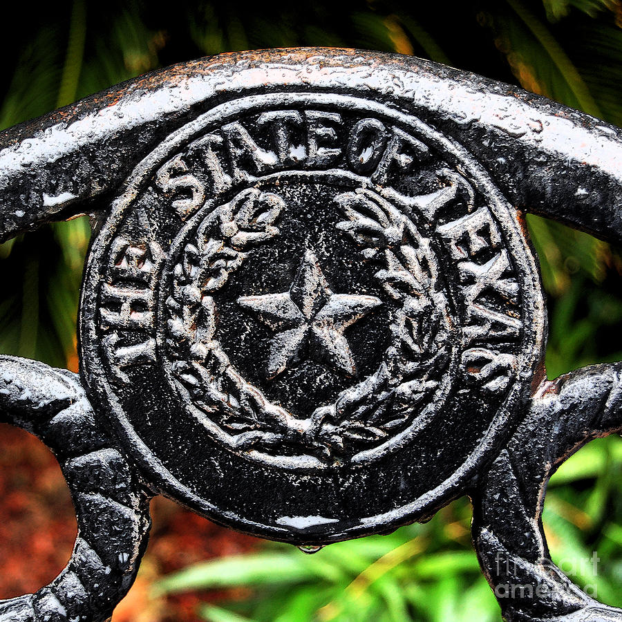 State of Texas Seal and Lone Star on Iron Fence after Rain Square Format Ink Outlines Digital Art Digital Art by Shawn OBrien