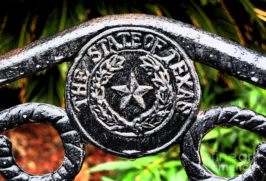 State of Texas Seal and Star on Iron Fence after Rain Ink Outlines Digital Art Digital Art by Shawn OBrien