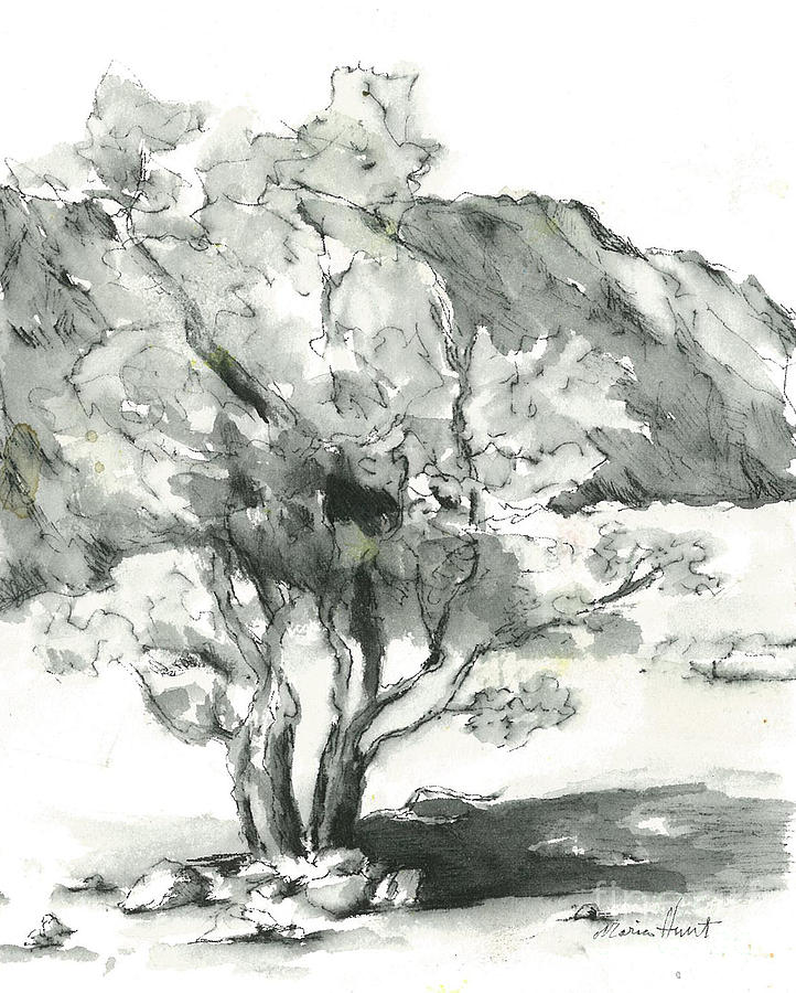 Graceful Smoketree Painting by Maria Hunt