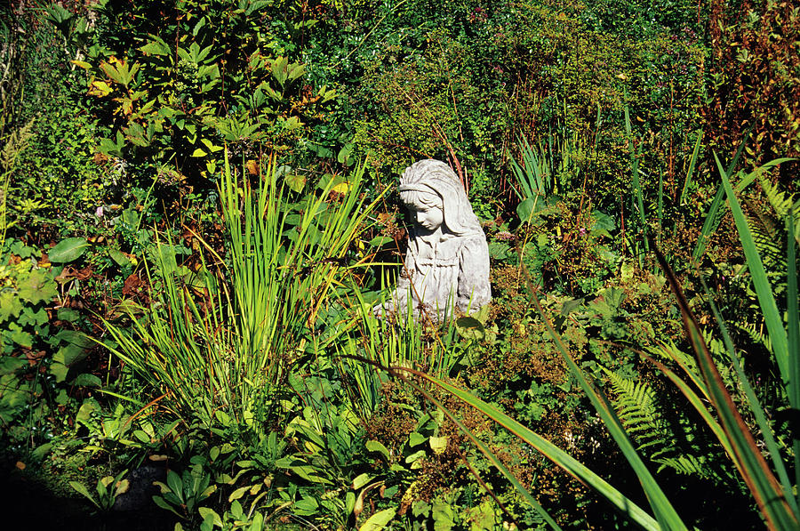 Statue In A Garden Photograph by Duncan Smith/science Photo Library