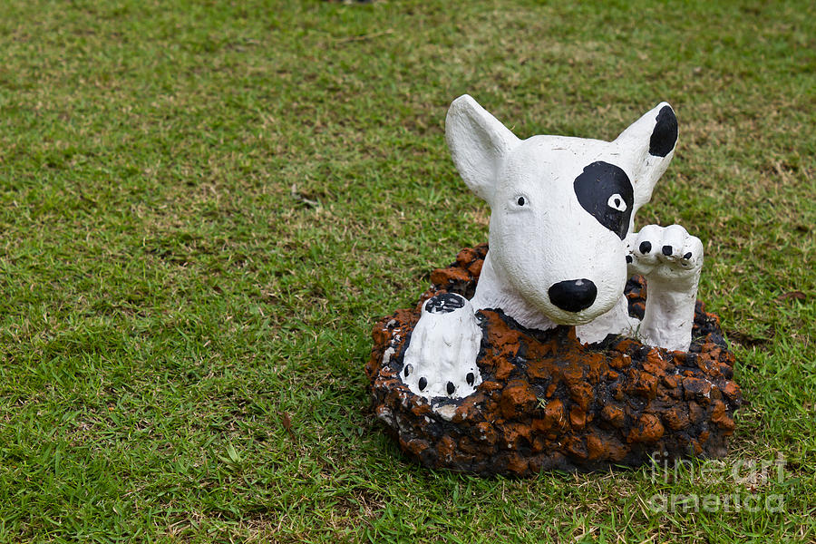 Statue Of A Dog Decorated On The Lawn Photograph by Tosporn Preede