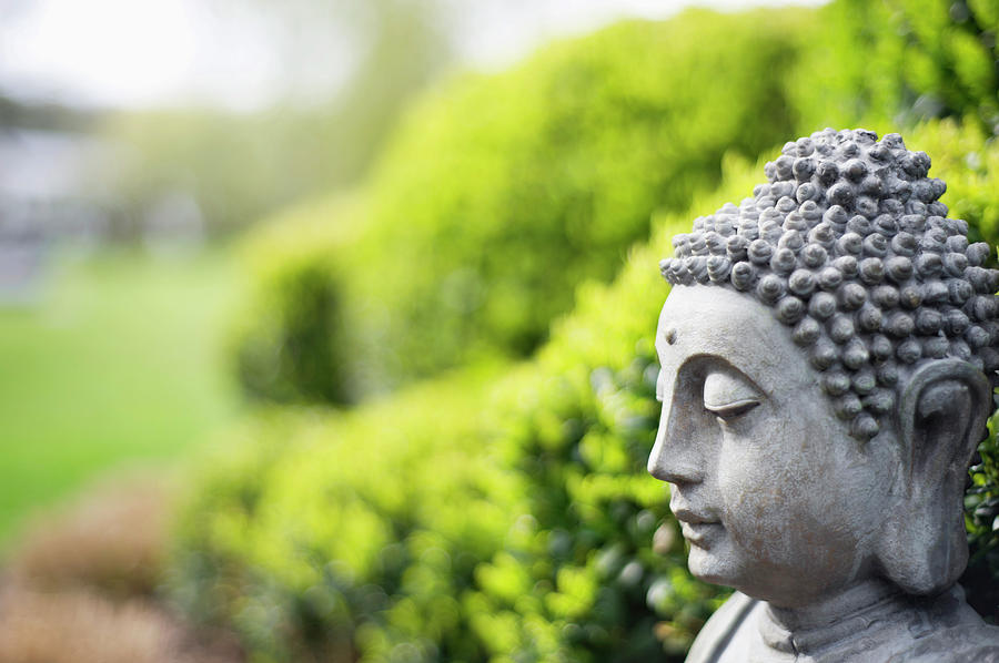 Statue Of Buddha In A Garden Photograph by Onoky - Eric Herchaft