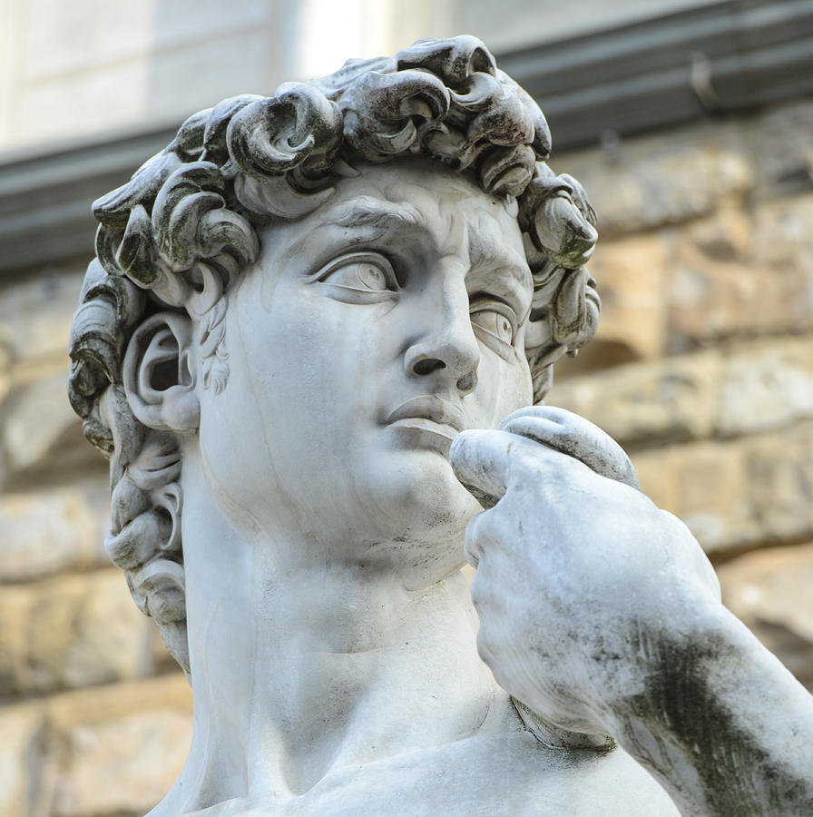 statue of David by Michelangelo on the Piazza della ...