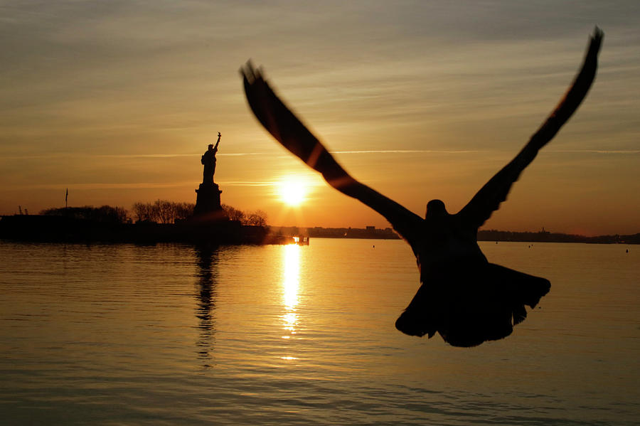 Statue Of Liberty Closed Due To Photograph by Eduardo Munoz Alvarez