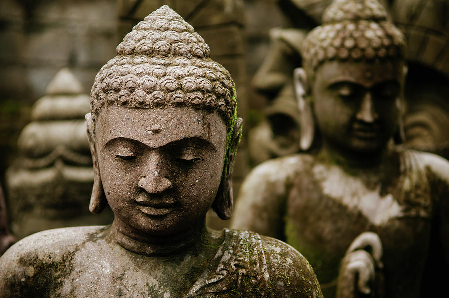 Statues Of The Buddha Photograph by Photo By Sam Scholes
