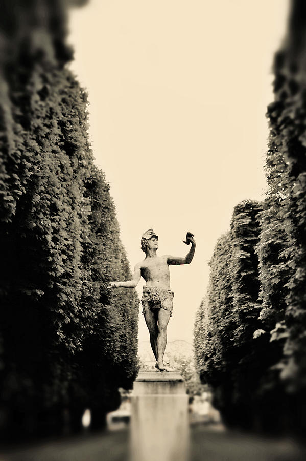 Statuesque Photograph by Rebecca Cozart Pixels