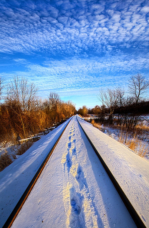 Winter Photograph - Staying Within the Lines by Phil Koch