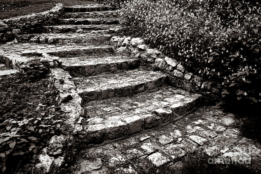 Steady Stone stairs Photograph by Olivier Le Queinec