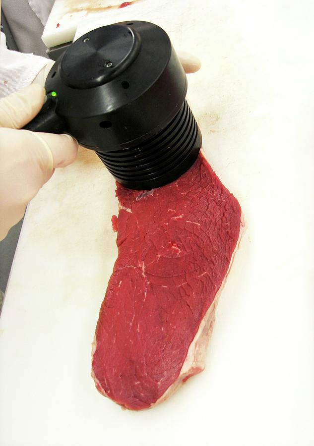 Steak Quality Research Photograph by Steven Shackelford/us Department Of Agriculture