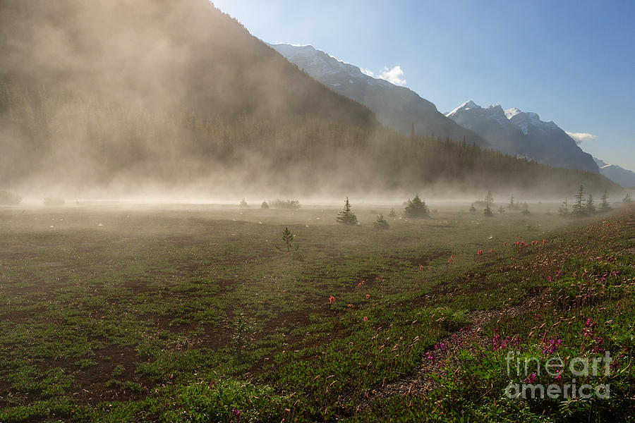 Banff National Park Photograph - Steam by Charles Kozierok