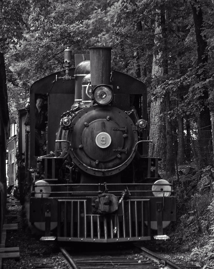 Steam Engine Train Photograph - Steam engine train by Flees Photos